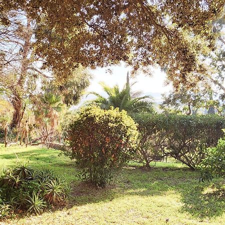 La Suite Costabella A Hyeres-Les-Palmiers Dış mekan fotoğraf