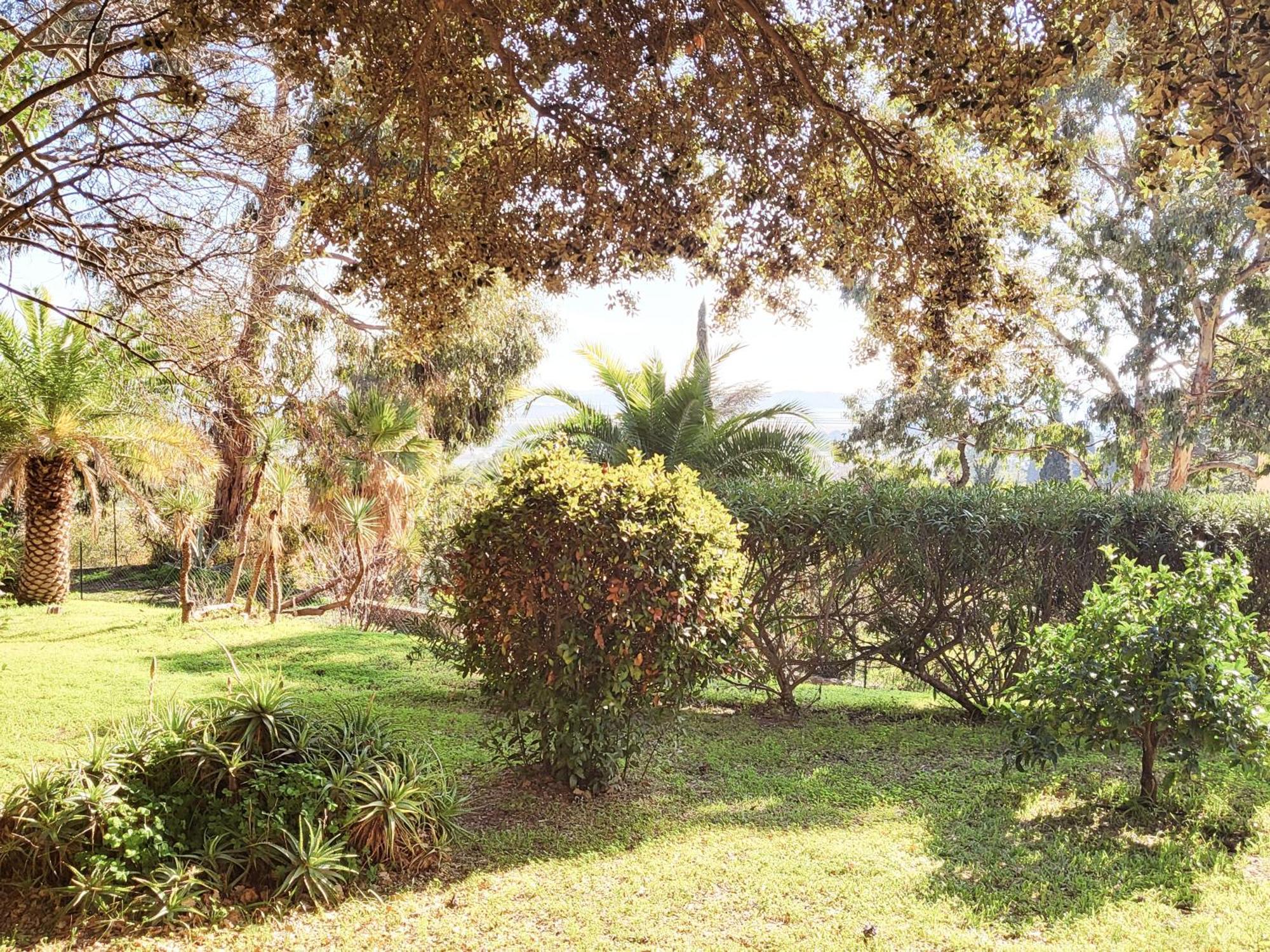 La Suite Costabella A Hyeres-Les-Palmiers Dış mekan fotoğraf